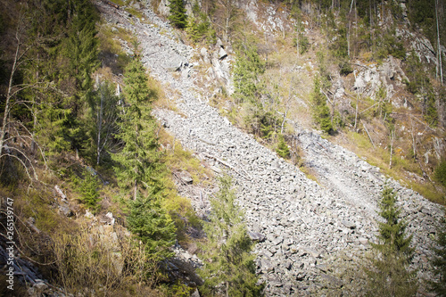 Illegal logging. Deforestation rock-fall hazard risk 