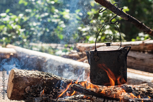 A small kettle with water is heated on a fire, in a forest, on a summer sunny day.