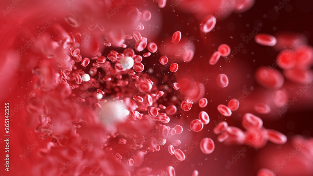 3d rendered medically accurate illustration of human blood cells 3d rendered medically accurate illustration of human blood cells