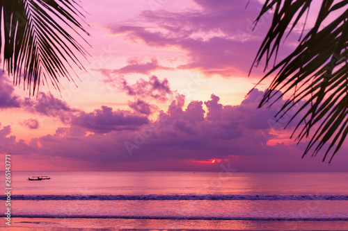 Purple sunset on the beach. View of the shore through palm leaves.
