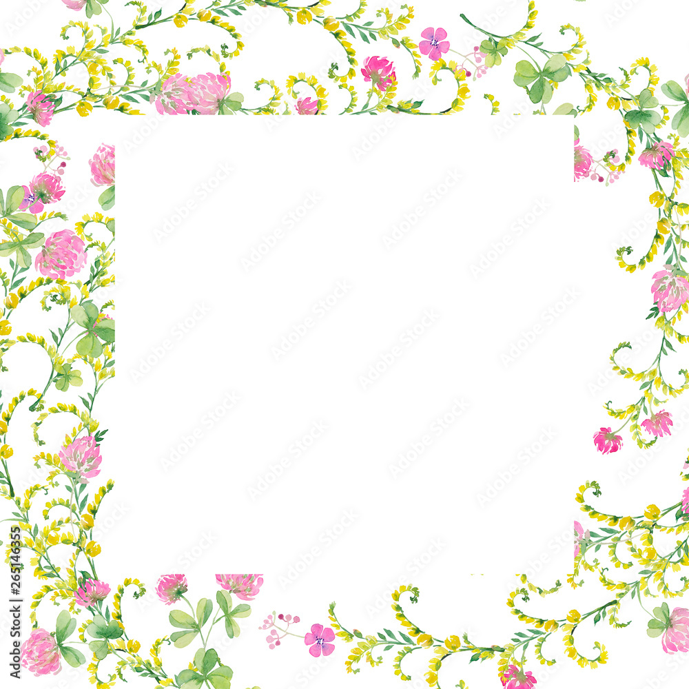 frame watercolor flowers of pink clover and yellow vetch.