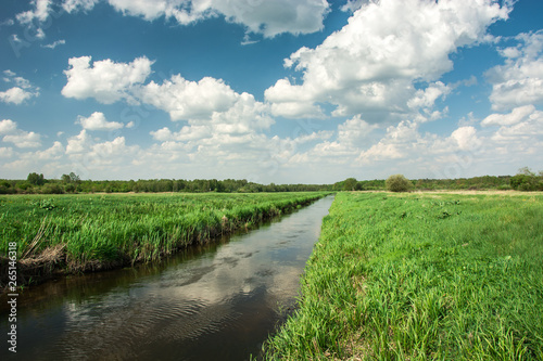 Eastern Poland and the river flowing through green meadow, forest to the horizon and white clouds on sky