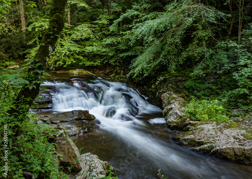 waterfall in forest