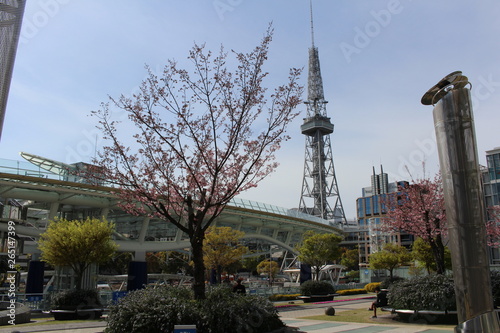 Cherry blossoms and Nagoya Television Tower