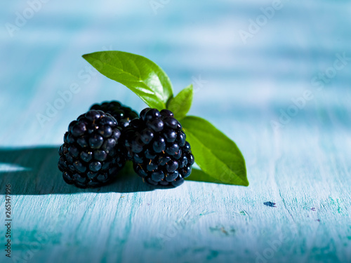 blackberry on a blue background