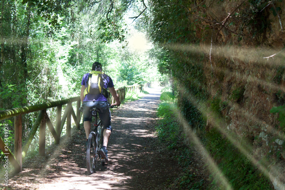 Naklejka premium cyclist near a wooden fence in the bear path in Asturias, Spain