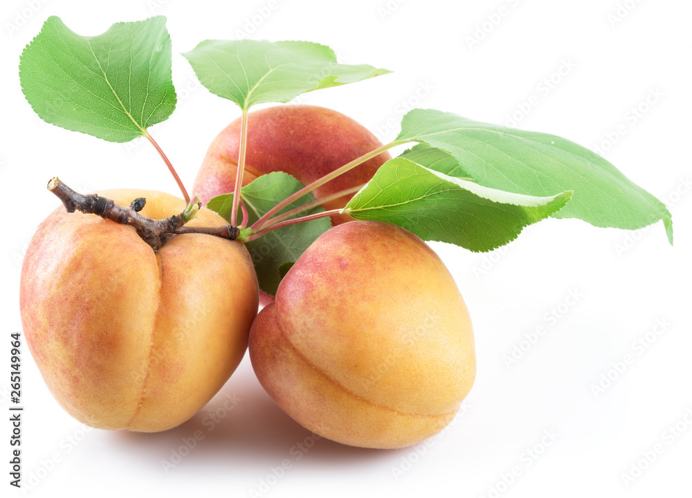 Three ripe apricots isolated on the white background. Three ripe apricots isolated on the white background.