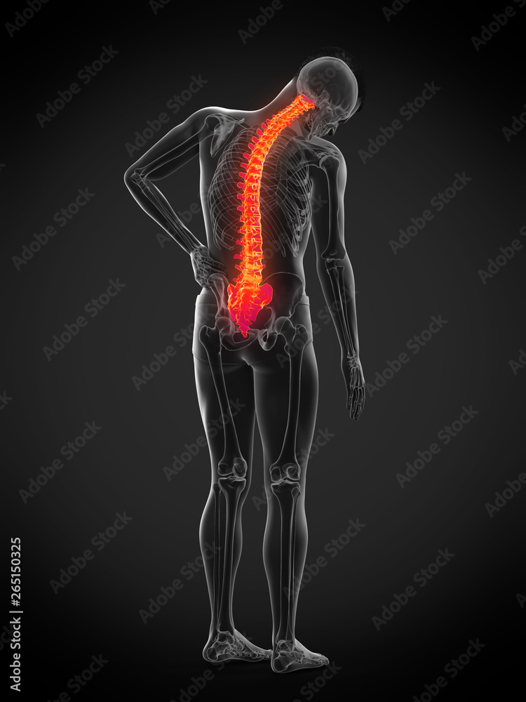 3d rendered medically accurate illustration of a man having backache 3d rendered medically accurate illustration of a man having backache