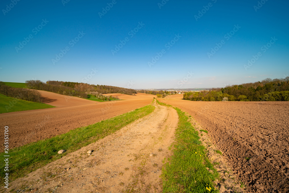 Agricultural plowed field in spring