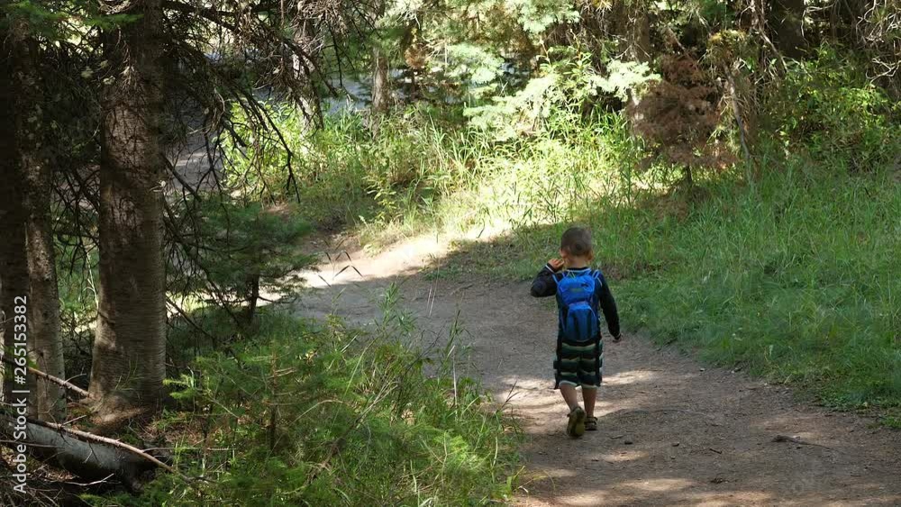 Slow motion of boy hiking through the forest on a hiking trail Slow motion of boy hiking through the forest on a hiking trail