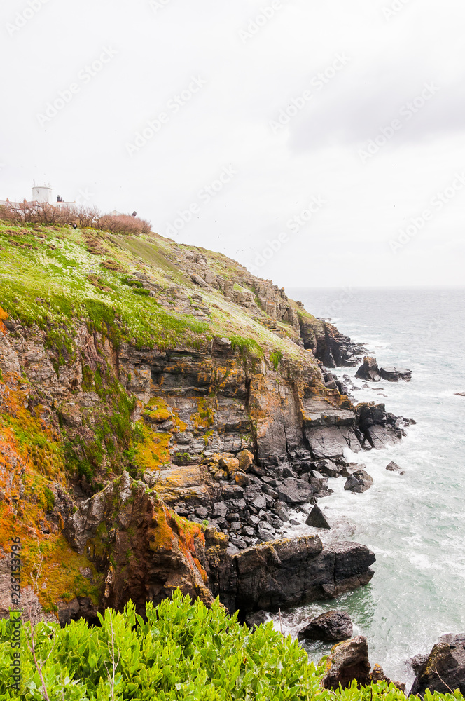 Lizard Point, Halbinsel, Küste, Steilküste, Küstenwanderweg, Cornwall, Frühling, Südengland
