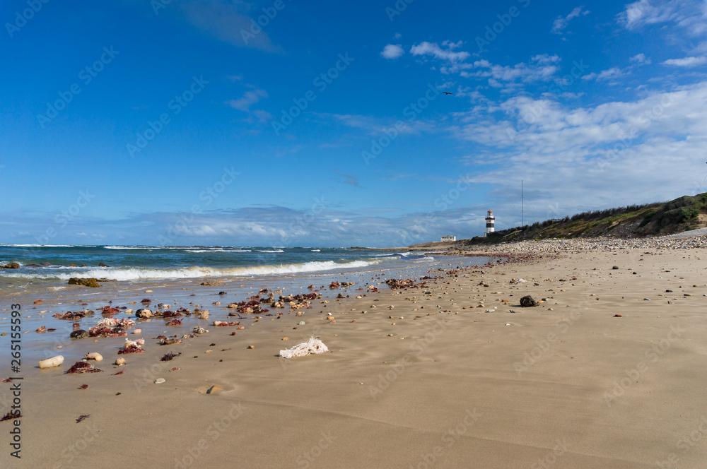 Ocean view landscape with sandy beach and lighthouse in the distance