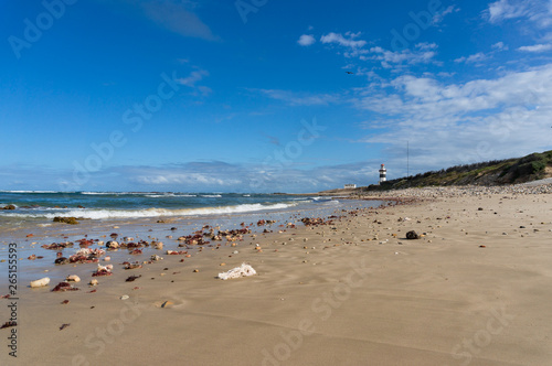 Ocean view landscape with sandy beach and lighthouse in the distance