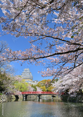 Wallpaper Mural 春の姫路城と満開の桜 Torontodigital.ca