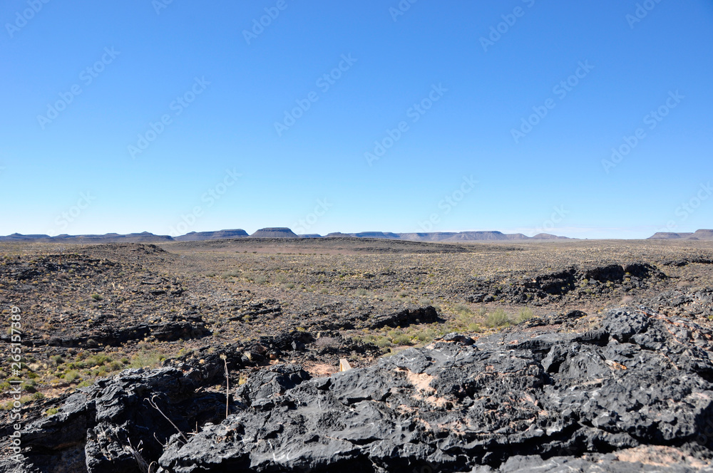 Desert landscape and vegetastion in the south of Namibia near Keetmanshoop