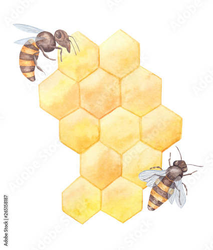 Watercolor illustration with bees & combs photo