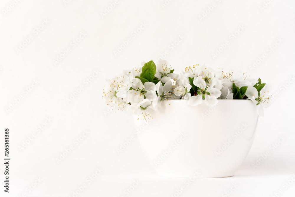 White spring flowers in a white vase on a white background.