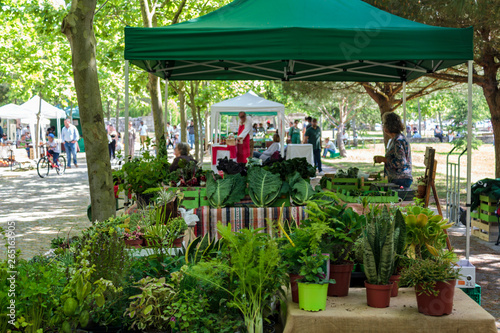 Foto Local farmers market