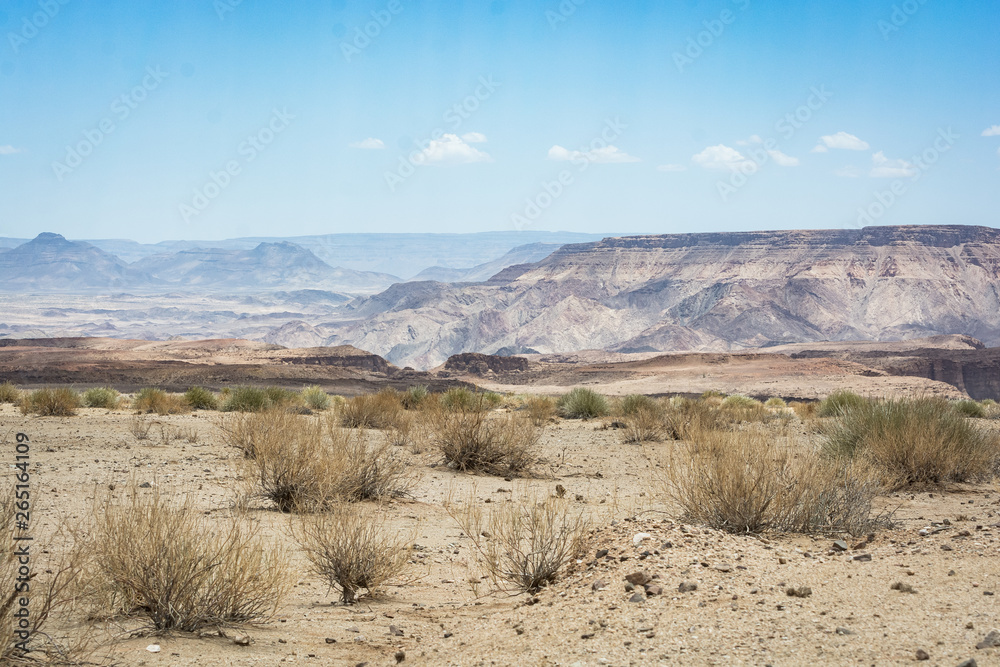 Fish River Canyon, Namibia with bushes in front 