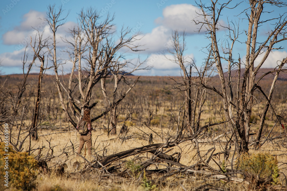 Fototapeta premium Kobieta w lesie martwych drzew
