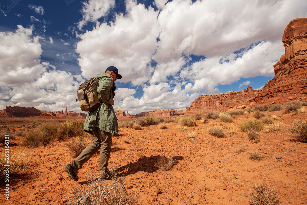 Hiker in Valley of Gods, USA