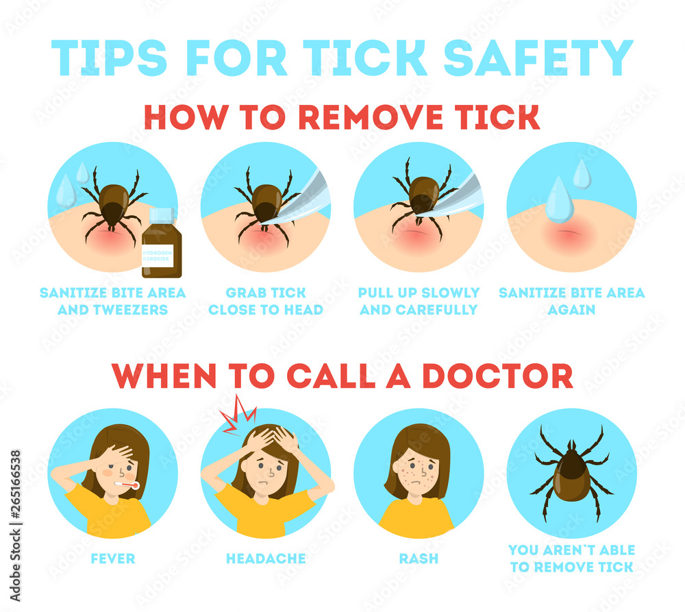 Tips for tick safety infographic. How to remove mite