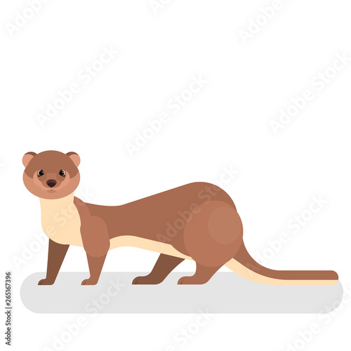 Weasel animal with a brown fur. Cute funny and small