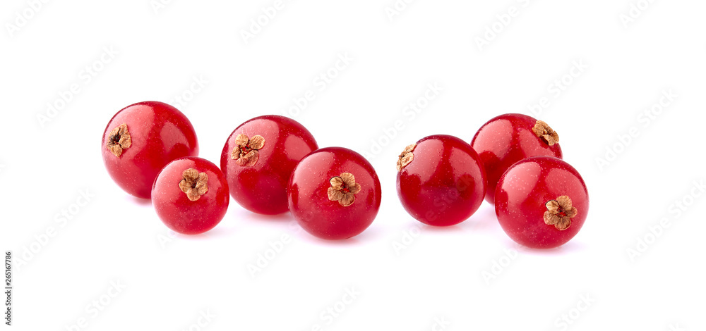 Red currant berries on White Background Red currant berries on White Background