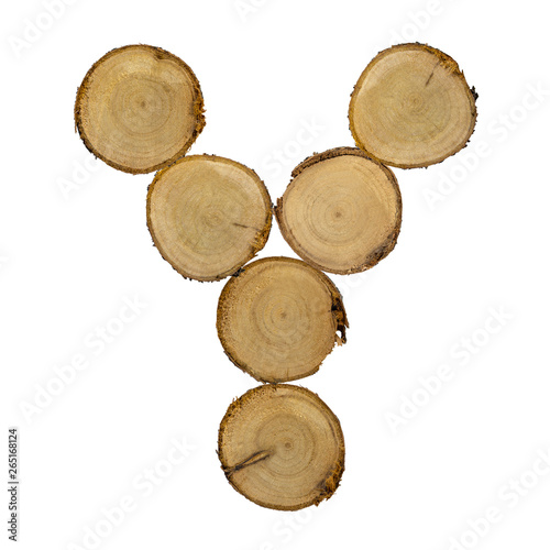 Wooden stumps  letter Y  alphabet  white background isolated