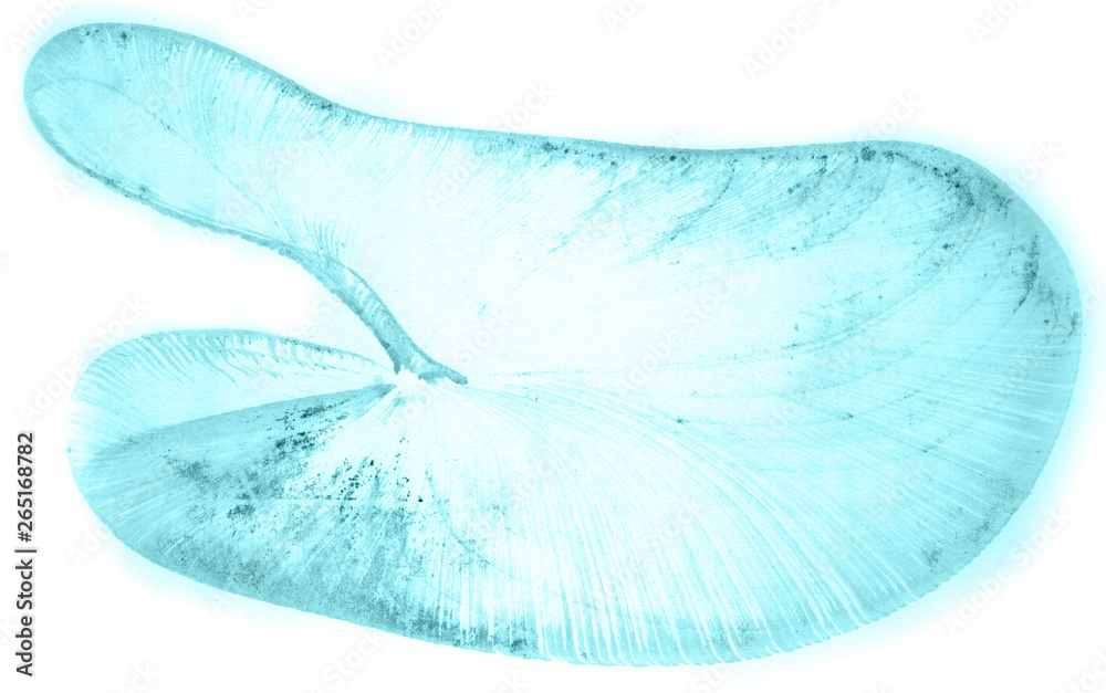 Fototapeta premium Abstract watercolor background hand-drawn on paper. Volumetric smoke elements. Blue-Green color. For design, web, card, text, decoration, surfaces.