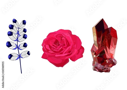 realistic beautiful vector set with rose, acacia and ruby crystall. Vintage and retro style.