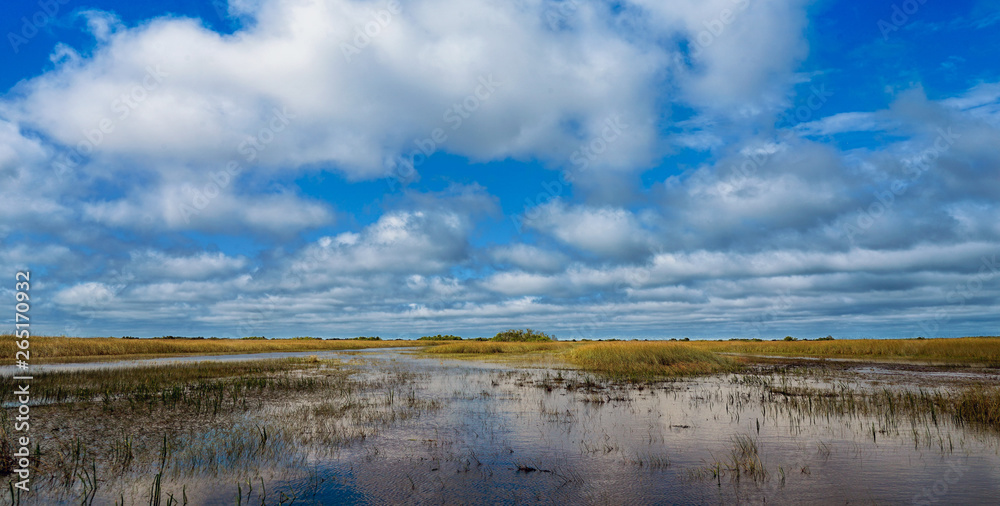 Obraz premium Blick in die Everglades