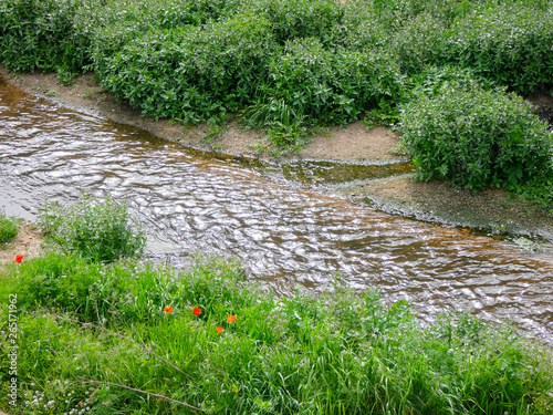 Pequeño río llegando a mar