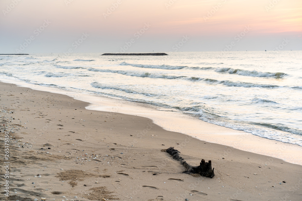 Beach during the sunrise landscape. Dirty beach fully with weste and plastic pollution. Beach during the sunrise landscape. Dirty beach fully with weste and plastic pollution.