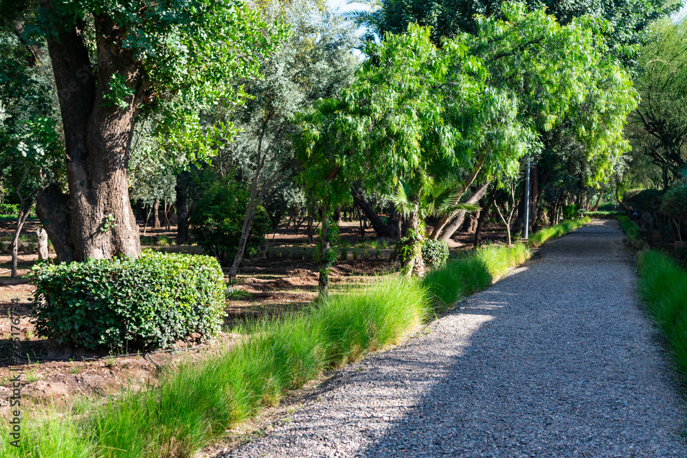 Trees and Plants along a Pathway at Cyber Park in Marrakech Morocco