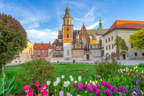 The city of Krakow, Poland, Wawel Castle