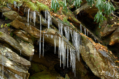 Icicles in Great Smoky Mountains National Park  TN  USA