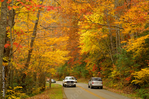 Tourists in Great Smoky Mountains for autumn's beauty