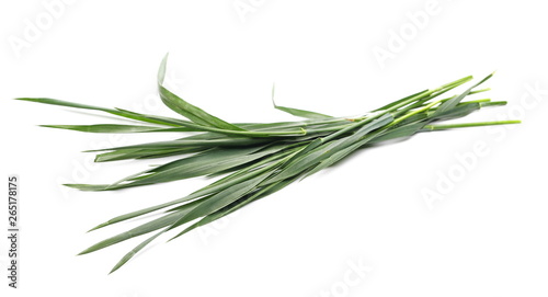 Green mowed young wheat isolated on white background  with clipping path