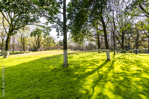 path in park