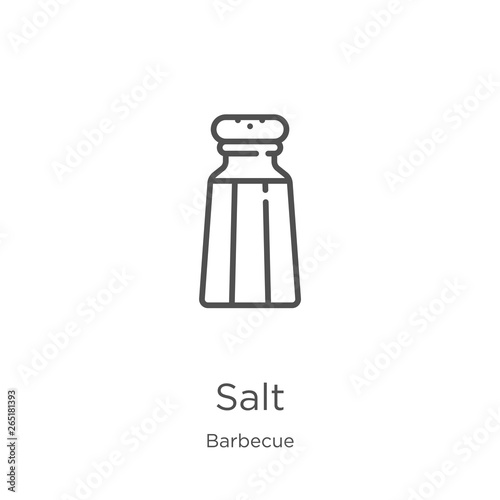 salt icon vector from barbecue collection. Thin line salt outline icon vector illustration. Outline, thin line salt icon for website design and mobile, app development.