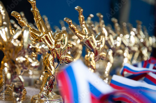 first prize with ribbon