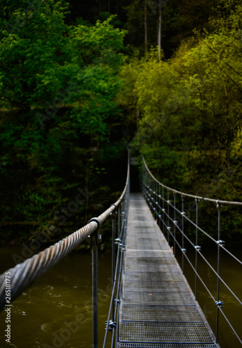 Fototapeta Naklejka Na Ścianę i Meble -  Bridge in the jungle