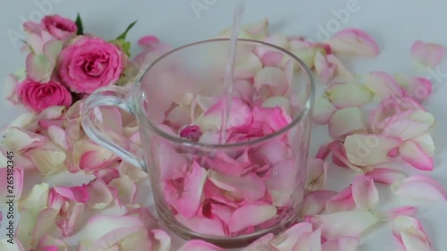 girl throws rose petals in a cup and pours boiling water