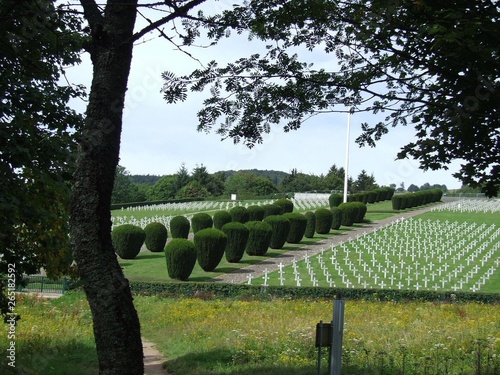 Hartzmannwillerkopf - Vieil Armand - Memorial Première Guerre Mondiale 1914 -1918 - Alsace - Cimetière Militaire photo