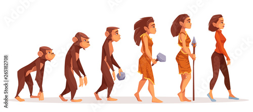 Human evolution from monkey to woman isolated on white background. Female character evolve steps from ape to uprights homo sapiens and modern business lady. Darwin theory. Cartoon vector illustration.