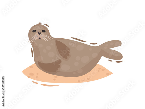 Fur seal lying on its side. Vector illustration.