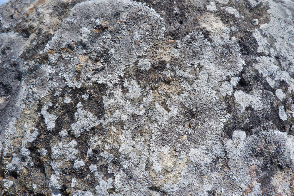 the plain of jars sit1, Phonsavan, province Xieng Khuang in north Lao in southeastasia. - Image the plain of jars sit1, Phonsavan, province Xieng Khuang in north Lao in southeastasia. - Image