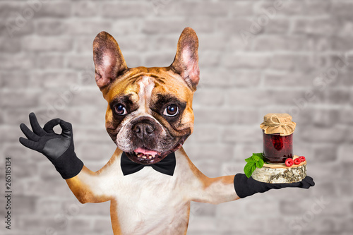funny dog red french bulldog waiter in a black bow tie hold jam in a glass jar and show a sign approx. Animal on brick wall background © vika33