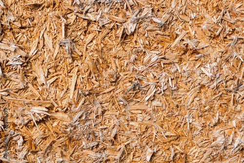 Wood Pattern